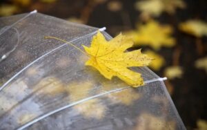 Музыка о родном доме и дороге к нему.