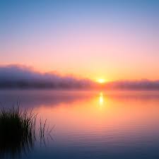 акустические композиции для кофе