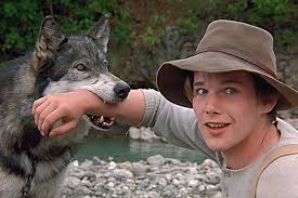 Музыка для домашних питомцев