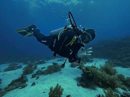 Трек для размышлений о тайнах океана