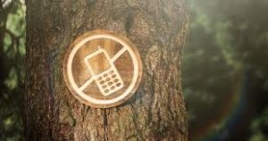 Гармоничная музыка для перезагрузки