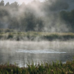 спокойные инструментальные композиции фон