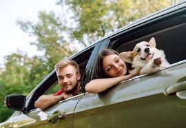 Торжественная музыка для новой машины