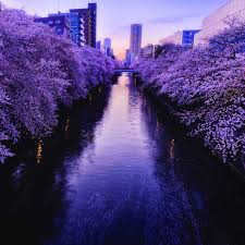 лоу-фай ритмы терапия