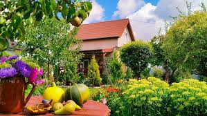 сельские мотивы фолк композиции