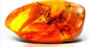 99 млн лет песни комаров Мьянма