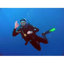 Фон для обзоров про морских существ