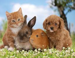 Эпический фон для выживания