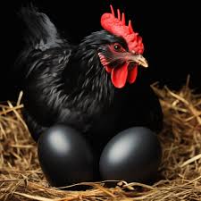 схватка легенд бессловесные