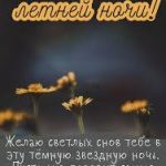 саундтреки счастливых моментов лета