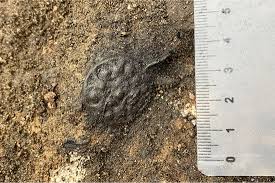 сага викингов в современном звучании