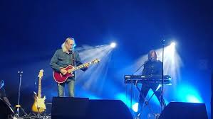 жулианна ди пайва музыка истории с собакой