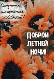 ночная летняя музыка для настроения