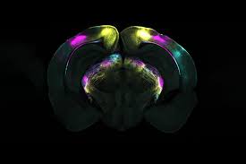 песни возвращающие детские воспоминания