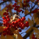 саундтреки солнечного настроения