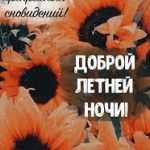 теплые ночи лета музыка для релаксации