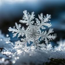 новогоднее чудо под музыку