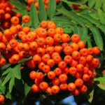 музыка против плохого настроения