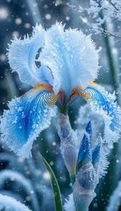 трели праздника в музыке