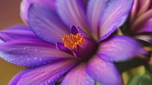 поп музыка для настроения энергичная