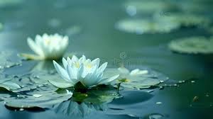 атмосферные последовательности аккордов