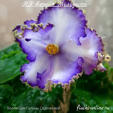 музыка вечно молодого настроения