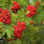 бодрое настроение музыка позитивные саундтреки