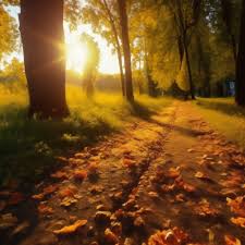 музыка для внутреннего покоя и умиротворения