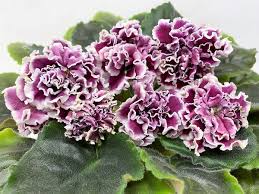 музыка для чтения сказок