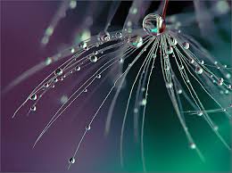 мелодия долголетия в отношениях звук