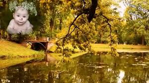 естественные звуковые ландшафты