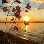 саундтреки морских летних ночей