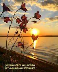 саундтреки морских летних ночей