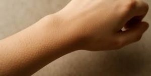 акустика загадочных звуков мурашки