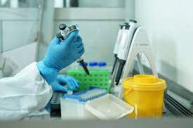 музыка пищевых патогенов листерия сальмонелла