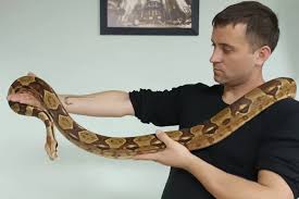 гипнотическая музыка для медитации восток