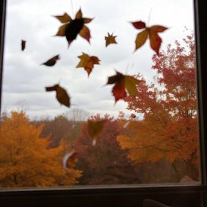 опадание листьев осенние мелодии