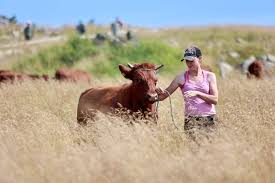 терапевтические композиции стресс