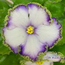 музыка для тех кто молод душой