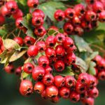 позитивная музыка для пробуждения