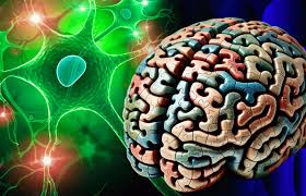 когнитивные преимущества языков