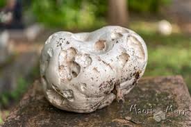 возраст 400 млн лет музыка