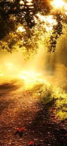 рассвет с музыкальным сопровождением