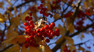 музыка для поднятия настроения и энергии