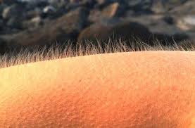 страшные звуки для атмосферы ужасов