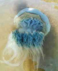 звуки которые передают атмосферу морской лаборатории или глубинной съёмки