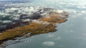 музыка для контента об инвазивных видах и изменении климата