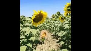 планетарий музей науки фоновая музыка