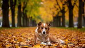 саундтреки для презентаций благотворительных фондов и проектов