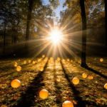 саундтреки для YouTube о здоровом образе жизни